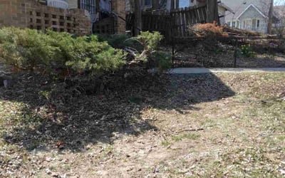 Photo of Shirley E.'s yard after getting landscaping in Rayville, MO