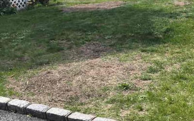 Photo of Stephen H.'s yard after getting landscaping in Center Moriches, NY
