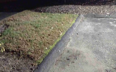 Photo of Anthony D.'s yard after getting landscaping in Weston, CT