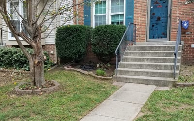 Photo of Amy H.'s yard after getting landscaping in Riverdale, MD
