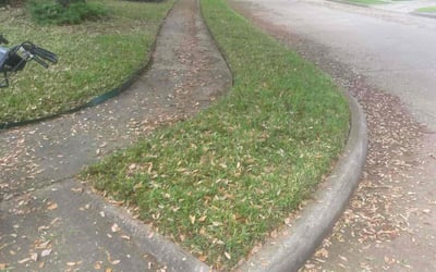 Photo of Deborah B.'s yard after getting landscaping in Missouri City, TX