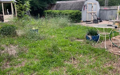 Photo of John B.'s yard after getting landscaping in Luling, TX