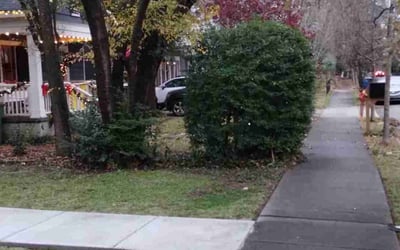 Photo of Justin K.'s yard after getting landscaping in Manchester, GA