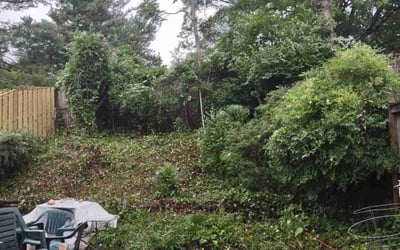 Photo of Zulfan B.'s yard after getting landscaping in Glenn Dale, MD