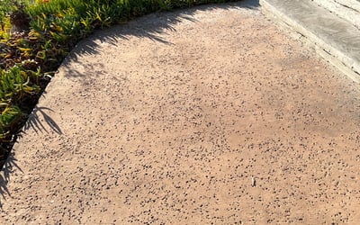 Photo of Mike G.'s yard after getting landscaping in Carlsbad, CA