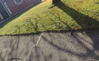 Photo of Chris M.'s yard after getting landscaping in North Bend, OH