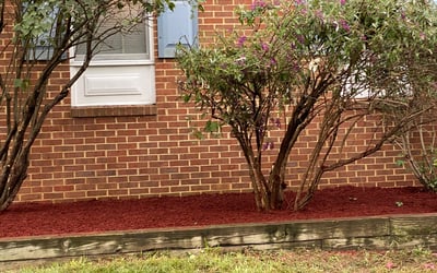 Photo of P R.'s yard after getting landscaping in Dunn Loring, VA