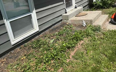 Photo of Brandon B.'s yard after getting landscaping in Louisburg, KS