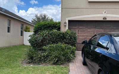 Photo of David M.'s yard after getting landscaping in Plymouth, FL