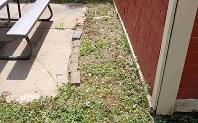 Photo of Julie W.'s yard after getting landscaping in Toledo, OH