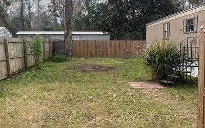 Photo of Ben D.'s yard after getting landscaping in Chattahoochee, FL