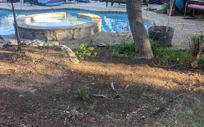 Photo of Philip C.'s yard after getting landscaping in Sutherland Springs, TX