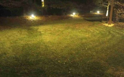 Photo of Shumeeke W.'s yard after getting tree care in Independence, MO