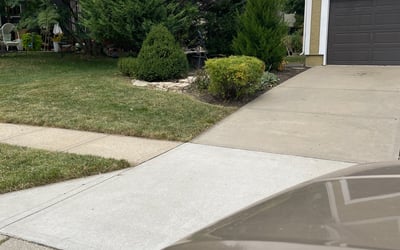 Photo of James R.'s yard after getting tree care in Raymore, MO
