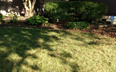 Photo of Jennifer D.'s yard after getting landscaping in Kilbourne, OH