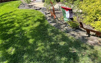 Photo of William H.'s yard after getting landscaping in Prince Frederick, MD