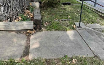 Photo of Amy M.'s yard after getting landscaping in Seward, NE