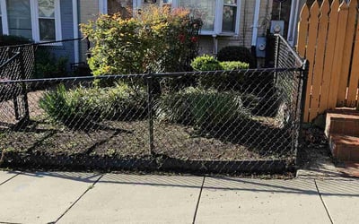 Photo of Terrence A.'s yard after getting landscaping in Waterford, VA