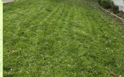 Photo of Melissa M.'s yard after getting landscaping in Fenton, MO