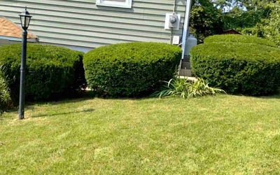 Photo of Michael G.'s yard after getting landscaping in North Attleboro, MA