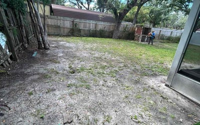 Photo of Katherine U.'s yard after getting tree care in Ruskin, FL