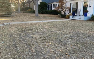 Photo of Kathleen V.'s yard after getting landscaping in Roberts, WI