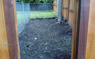 Photo of Theresa A.'s yard after getting landscaping in Maple Valley, WA
