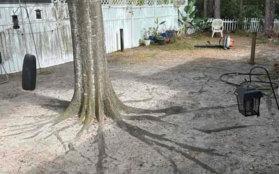 Photo of Roberto M.'s yard after getting landscaping in Belleair Beach, FL