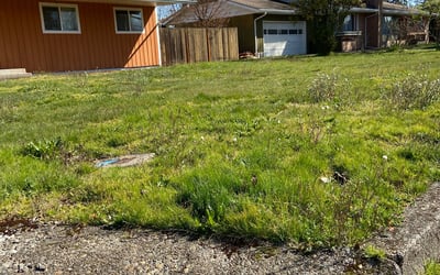 Photo of Beverly W.'s yard after getting landscaping in Fairview, OR