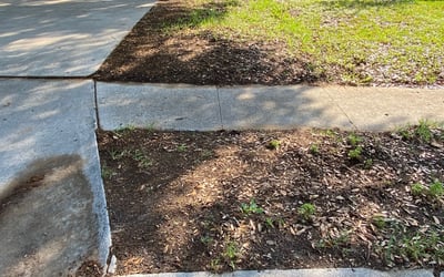 Photo of Maggie S.'s yard after getting landscaping in Rio Medina, TX
