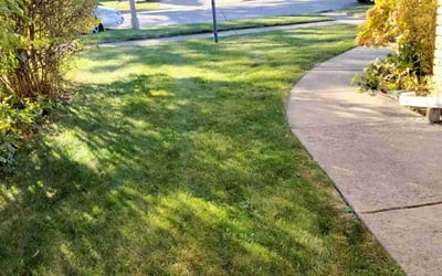 Photo of Gerald R.'s yard after getting landscaping in Skokie, IL