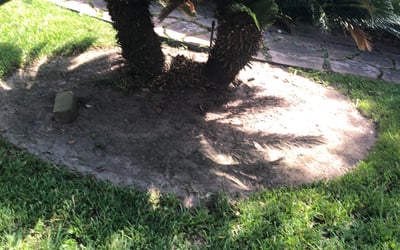 Photo of Jennifer H.'s yard after getting landscaping in Thompsons, TX