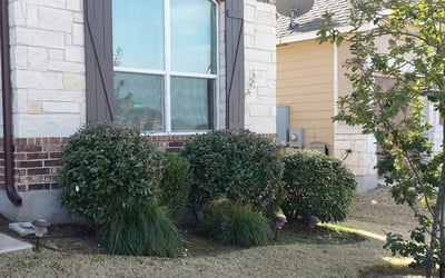Photo of Dan S.'s yard after getting landscaping in Red Rock, TX