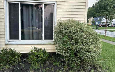 Photo of Lindsey L.'s yard after getting landscaping in Chardon, OH