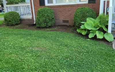 Photo of James B.'s yard after getting landscaping in Siler City, NC