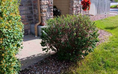 Photo of Nichole T.'s yard after getting landscaping in Divide, CO