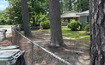 Photo of Mark B.'s yard after getting tree care in Harrisburg, NC
