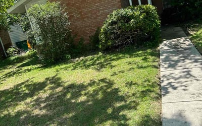 Photo of Dawn G.'s yard after getting landscaping in Universal City, TX