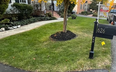 Photo of David R.'s yard after getting landscaping in Barnesville, MD
