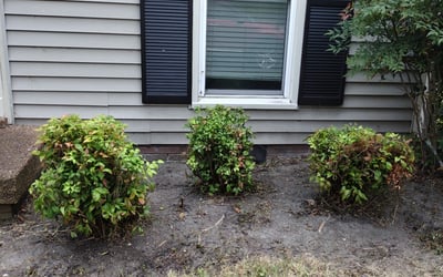 Photo of Jessica S.'s yard after getting landscaping in Hermitage, TN