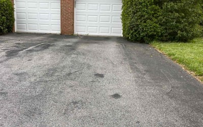 Photo of Darcie P.'s yard after getting tree care in Germantown, MD