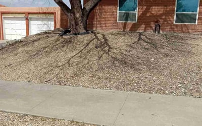Photo of Joe L.'s yard after getting landscaping in Fabens, TX