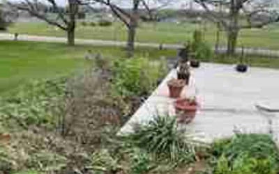 Photo of Holly P.'s yard after getting landscaping in Charlotte, MI