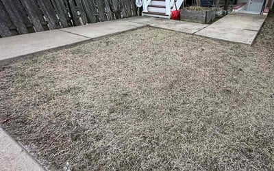 Photo of Laura T.'s yard after getting landscaping in Shepherdstown, WV