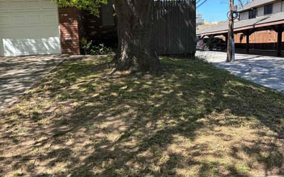 Photo of David K.'s yard after getting landscaping in Tulsa, OK