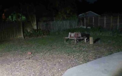 Photo of Chris W.'s yard after getting landscaping in Mathis, TX