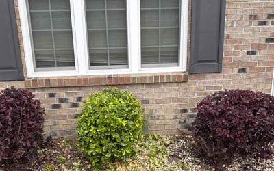 Photo of John O.'s yard after getting landscaping in Jacksonville, NC