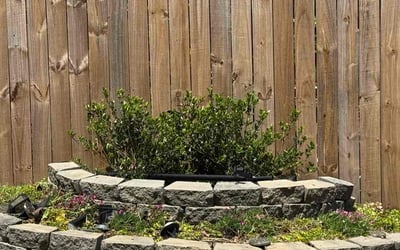 Photo of Tracey A.'s yard after getting tree care in Charlotte, NC