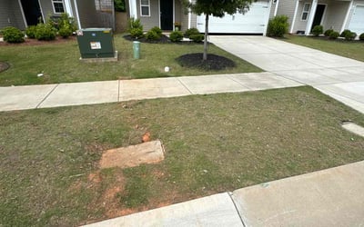 Photo of Heather T.'s yard after getting landscaping in Charlotte, NC