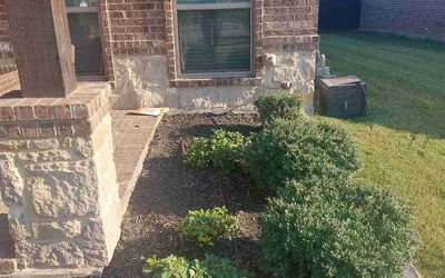 Photo of Tamika B.'s yard after getting tree care in Arlington, TX